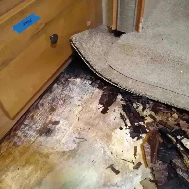 Wood Floor Water Damage in Sterling Heights, MI